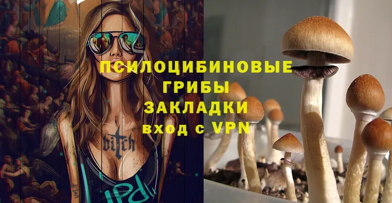 Псилоцибиновые грибы Psilocybe  Углегорск 